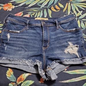 Hollister Short Shorts